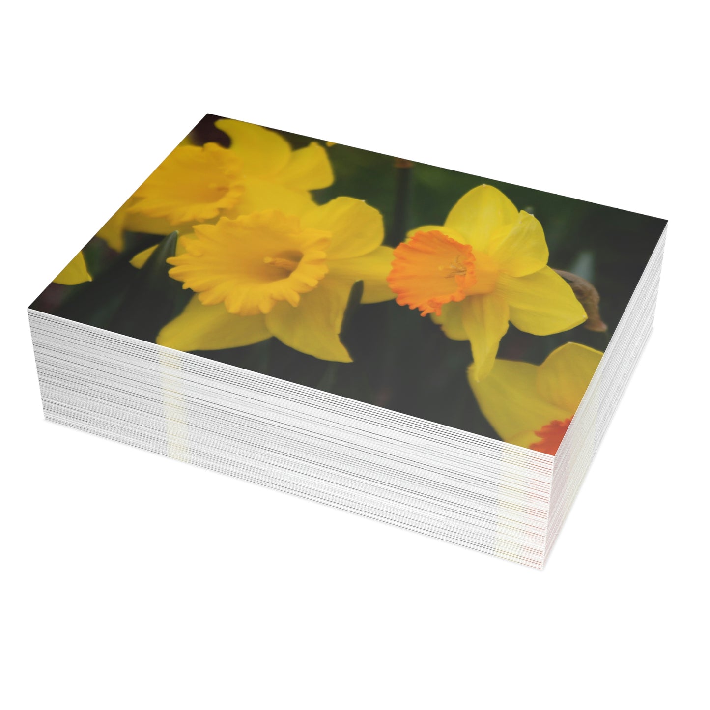 Flowers 10 Greeting Card Bundles (envelopes not included)