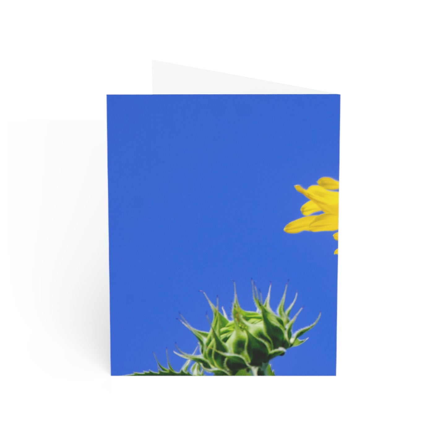 Flowers 02 Greeting Cards (1, 10, 30, and 50pcs)