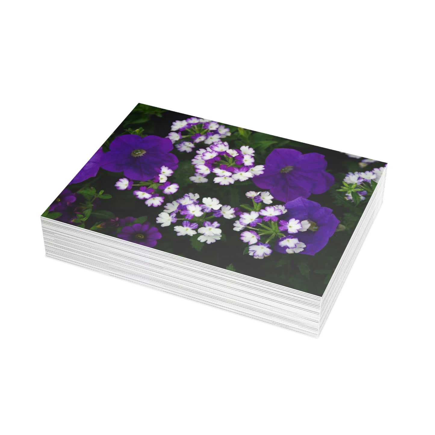 Flowers 03 Greeting Card Bundles (envelopes not included)