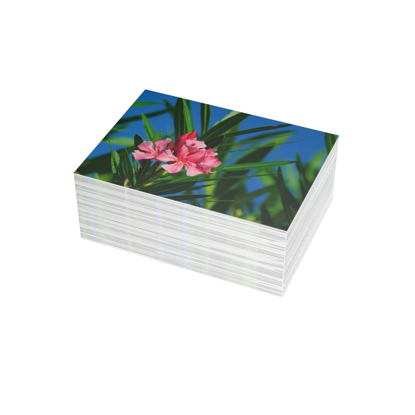 Flowers 30 Greeting Card Bundles (envelopes not included)