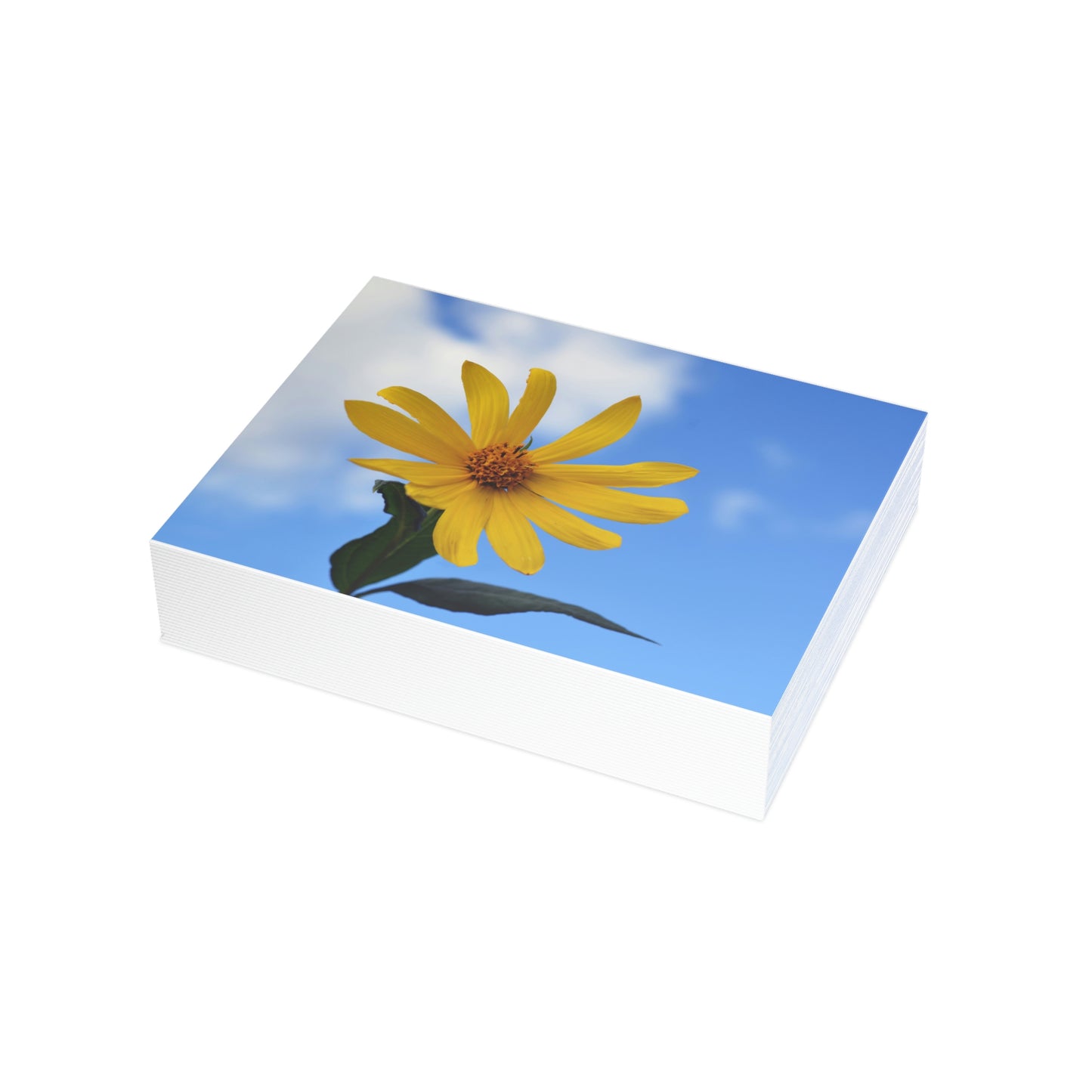 Flowers 32 Greeting Card Bundles (envelopes not included)