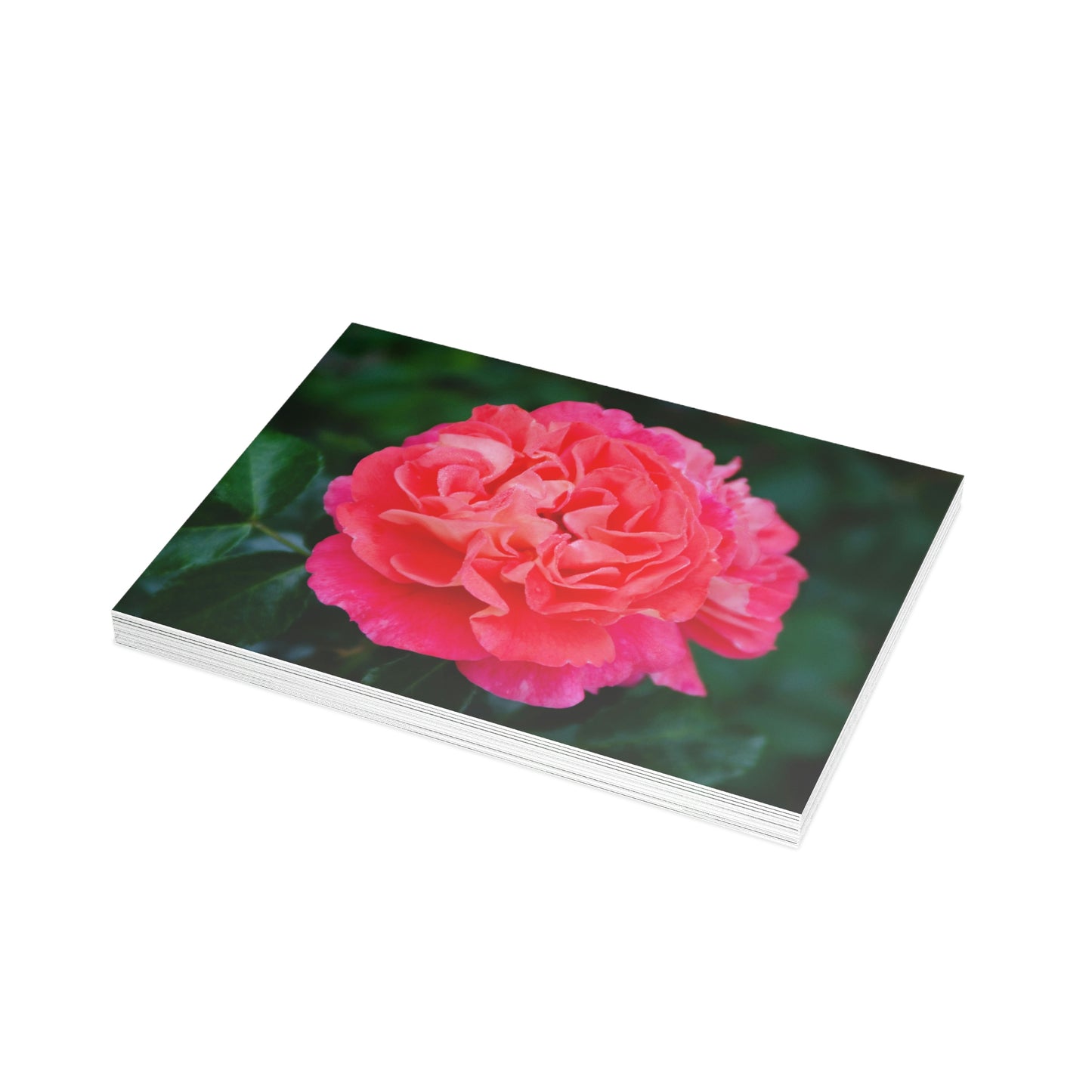 Flowers 08 Greeting Card Bundles (envelopes not included)