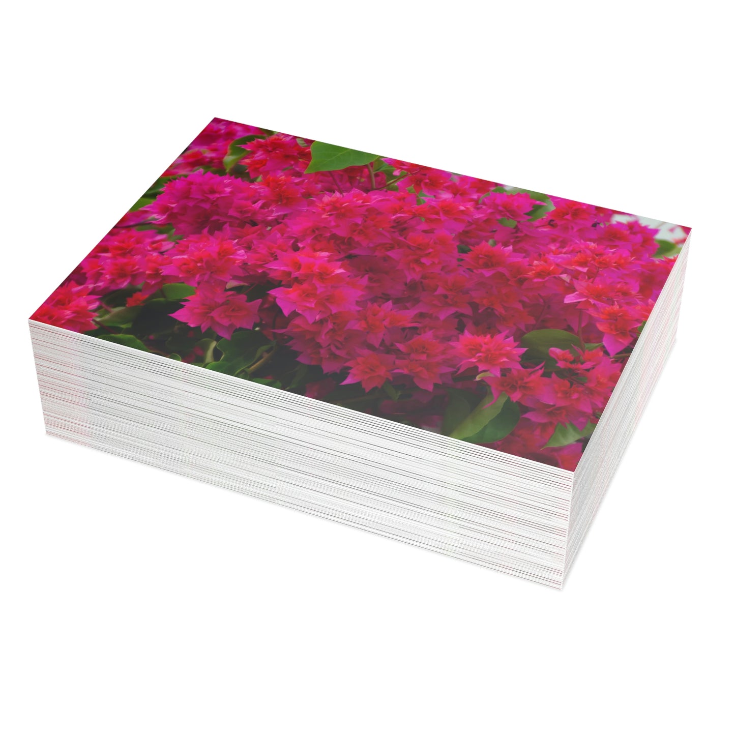 Flowers 28 Greeting Card Bundles (envelopes not included)