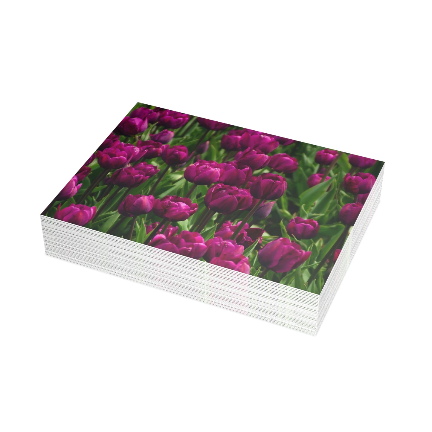 Flowers 18 Greeting Card Bundles (envelopes not included)