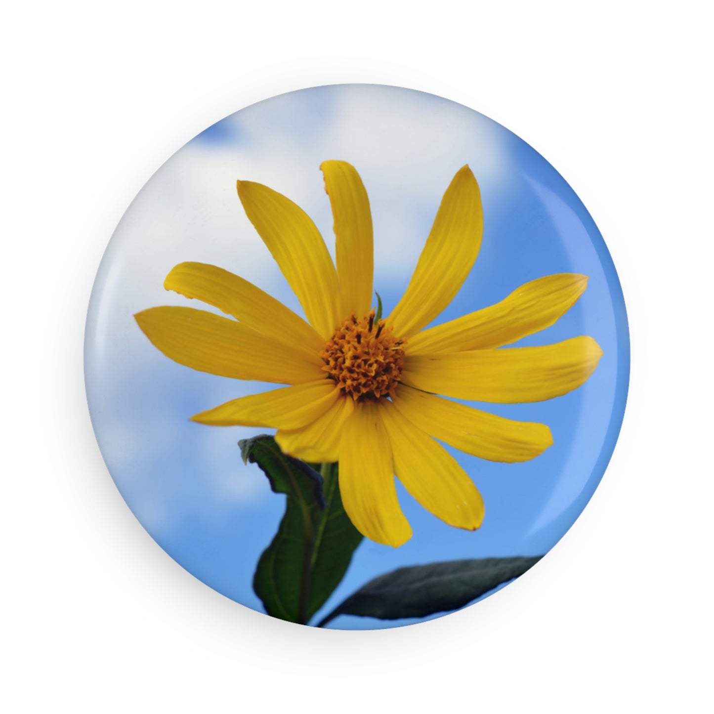 Flowers 31 Button Magnet, Round (1 & 10 pcs)