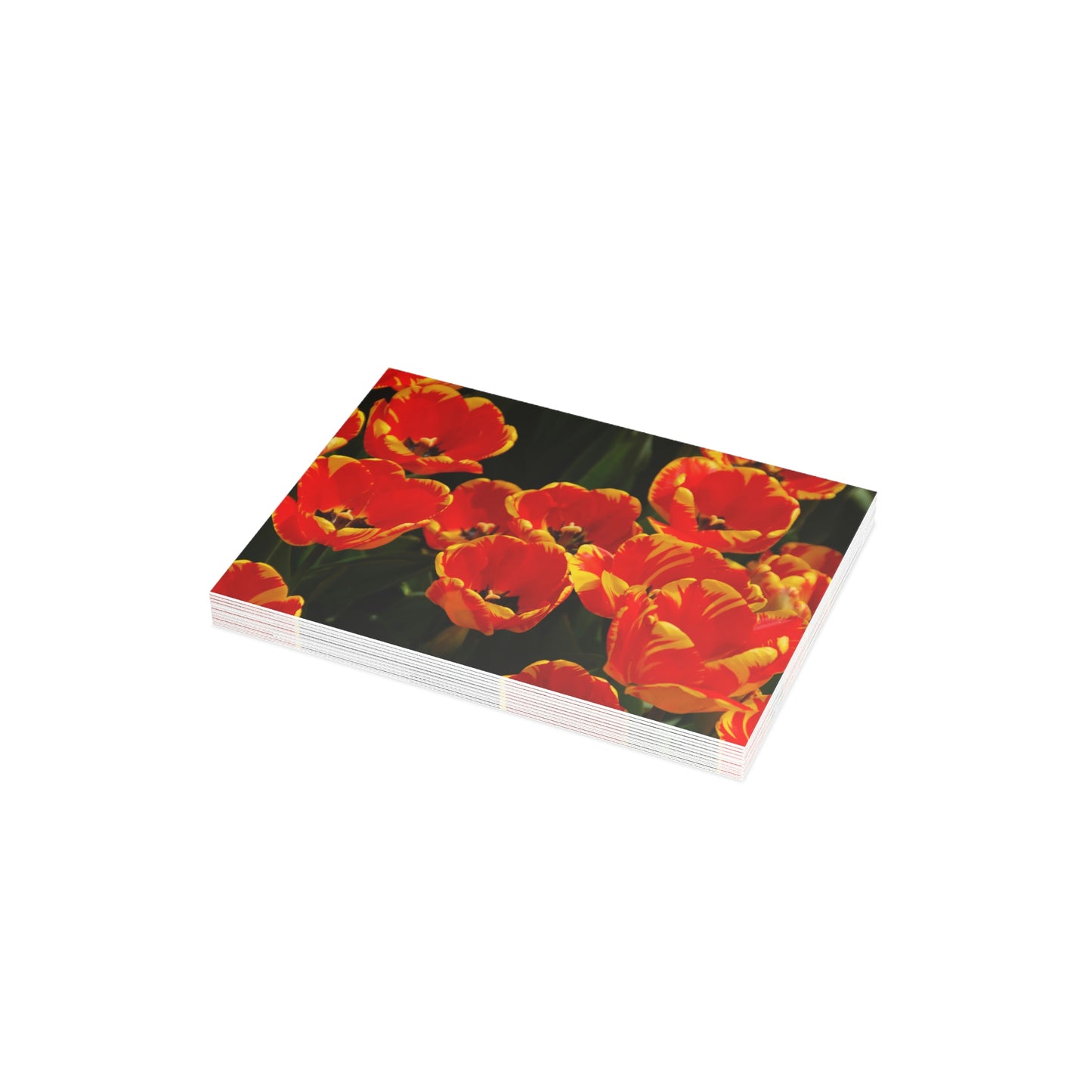 Flowers 20 Greeting Card Bundles (envelopes not included)