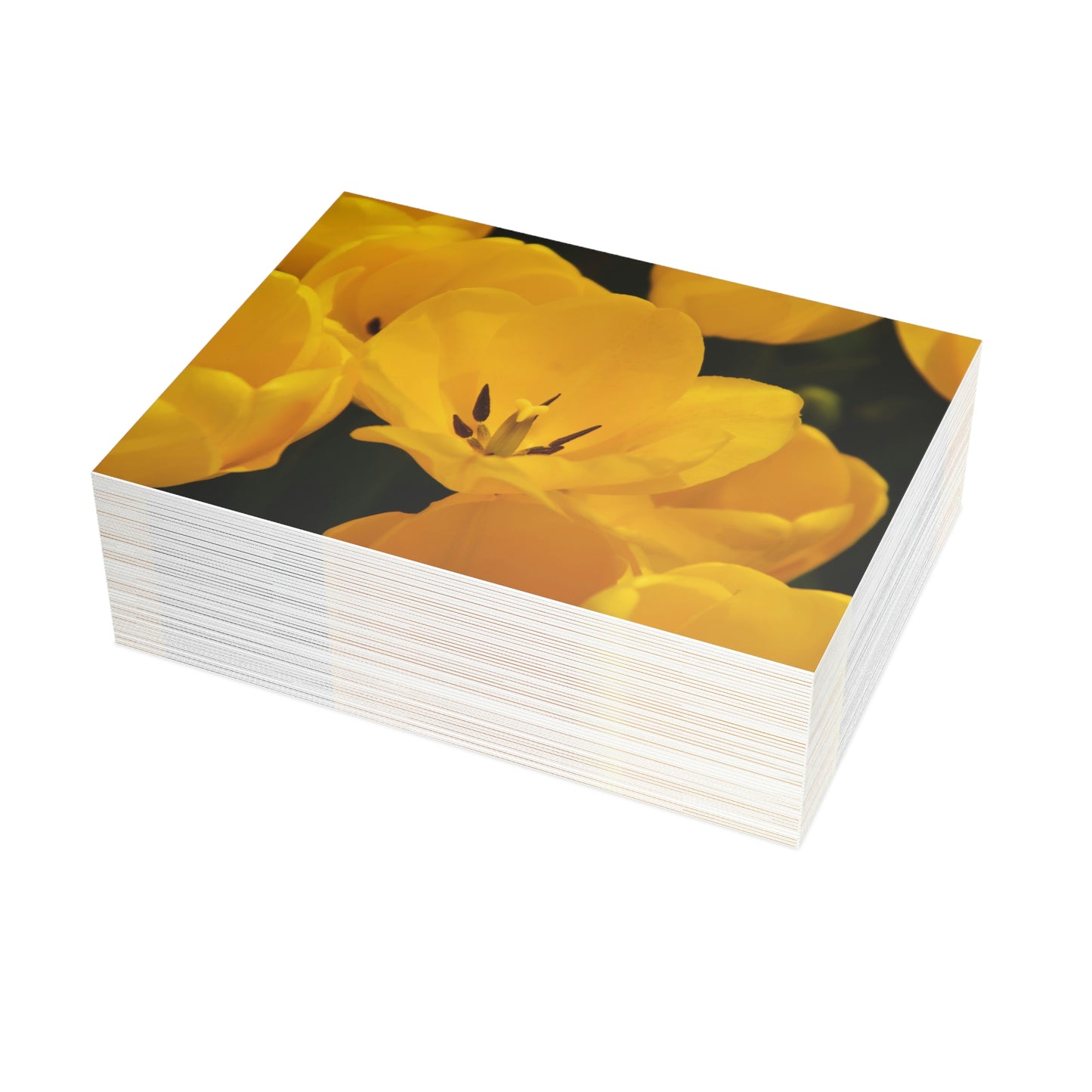 Flowers 16 Greeting Card Bundles (envelopes not included)