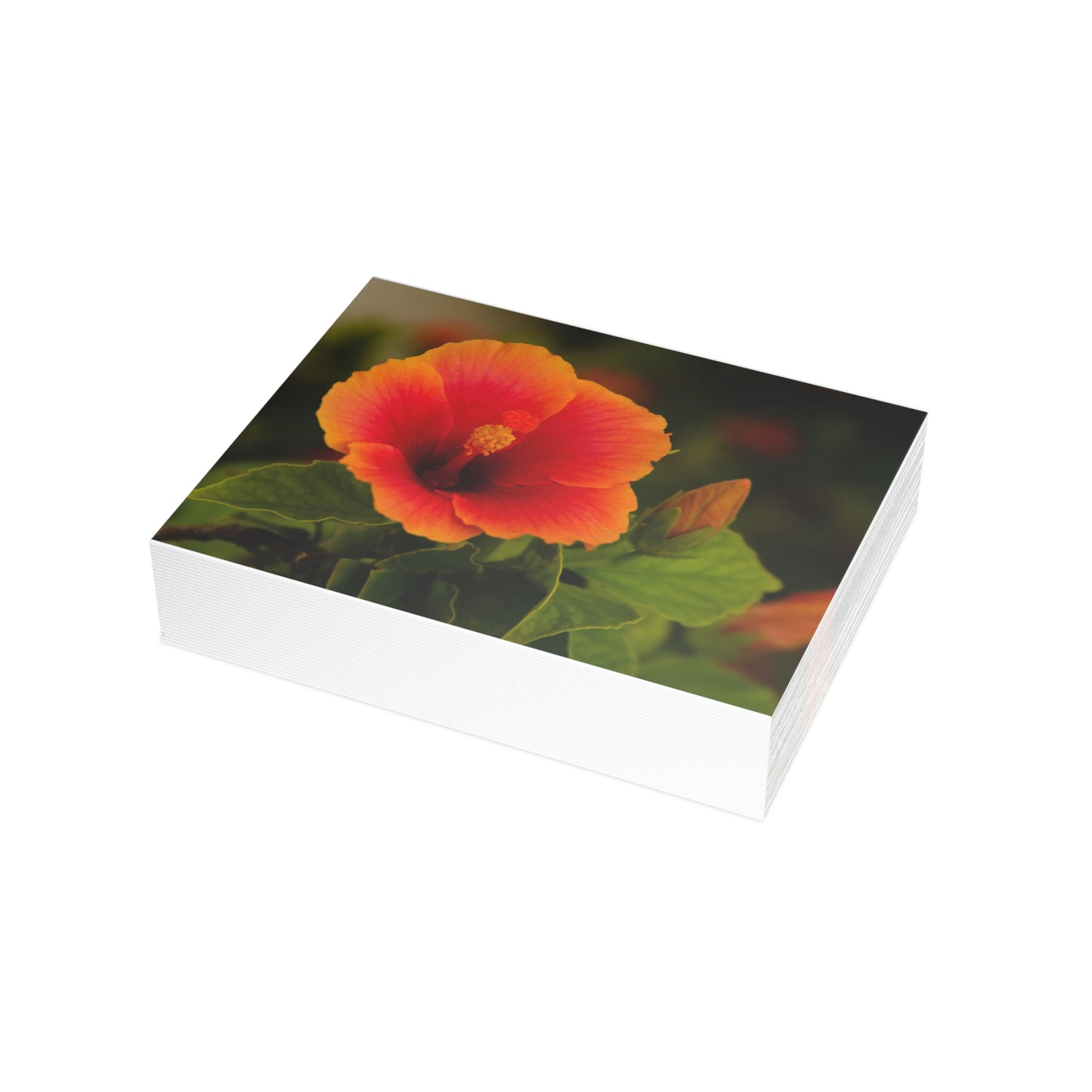 Flowers 31 Greeting Card Bundles (envelopes not included)