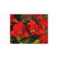 Flowers 05 Greeting Card Bundles (envelopes not included)