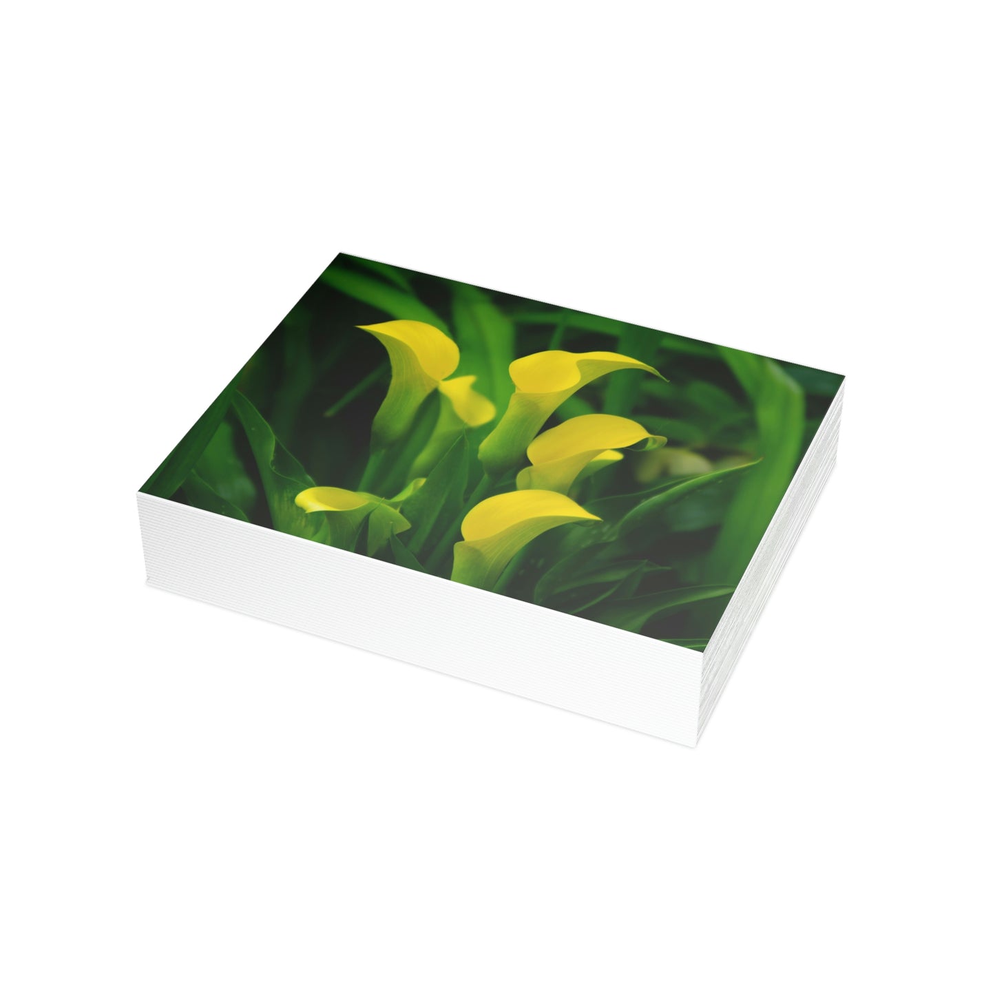 Flowers 33 Greeting Card Bundles (envelopes not included)