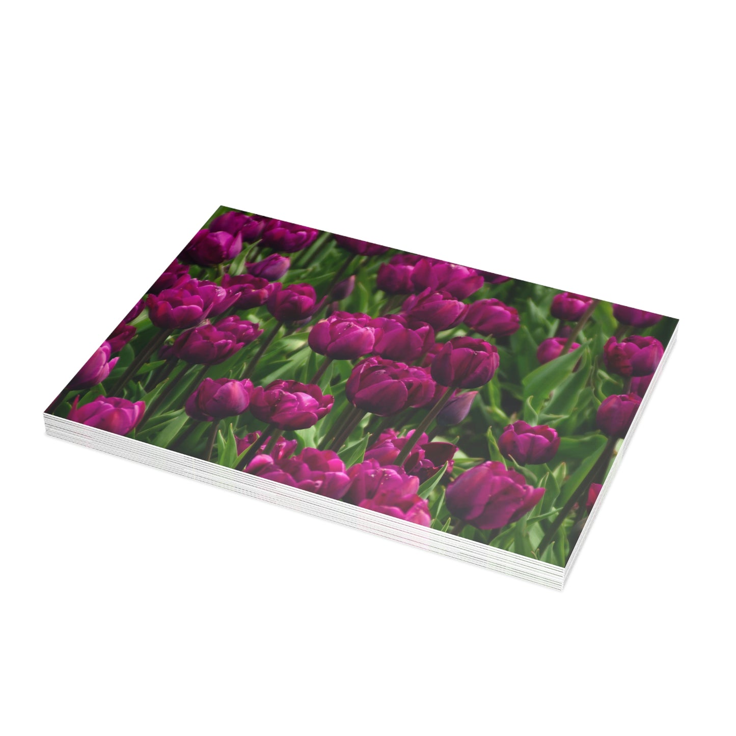 Flowers 18 Greeting Card Bundles (envelopes not included)