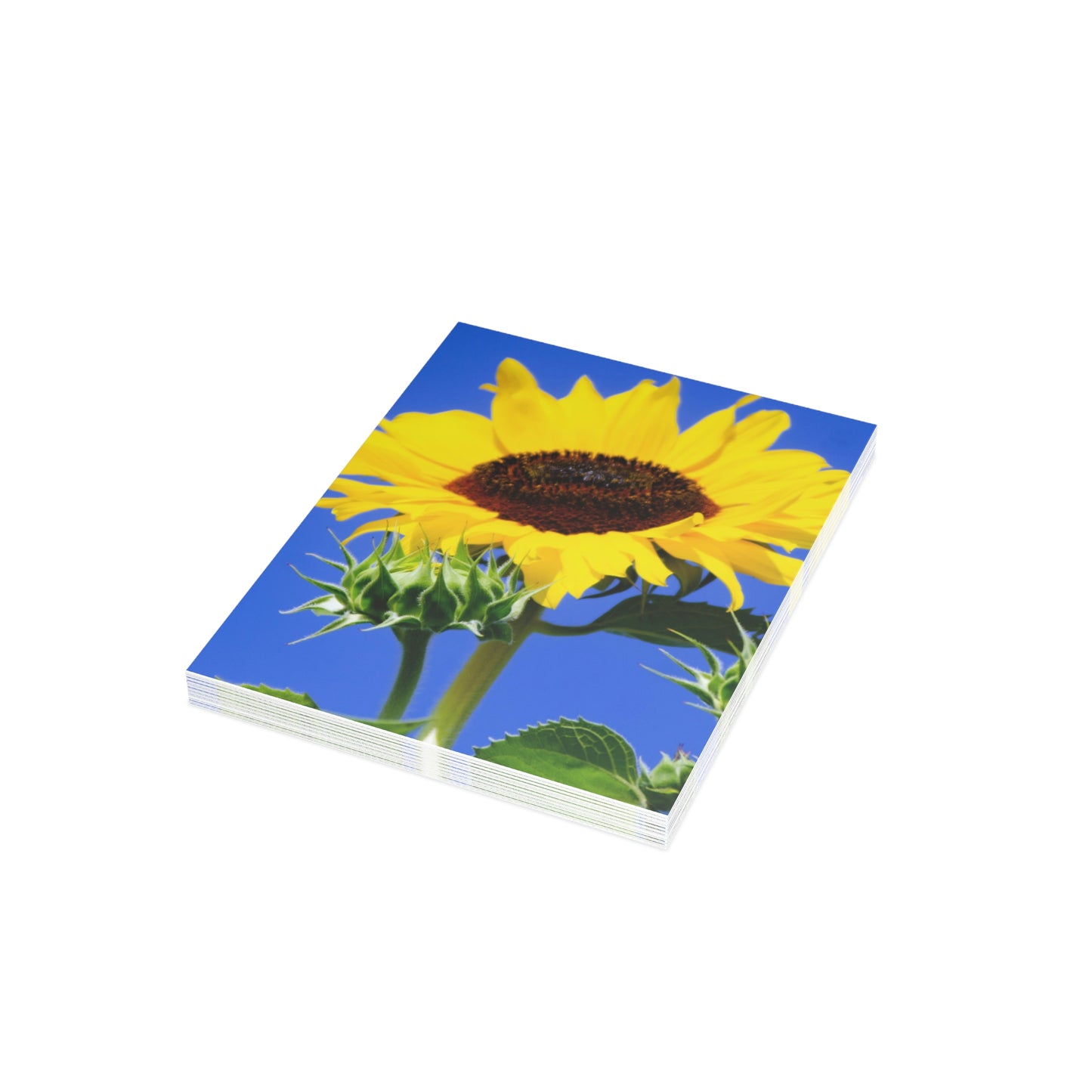 Flowers 02 Greeting Cards (1, 10, 30, and 50pcs)