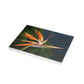 Flowers 26 Greeting Card Bundles (envelopes not included)