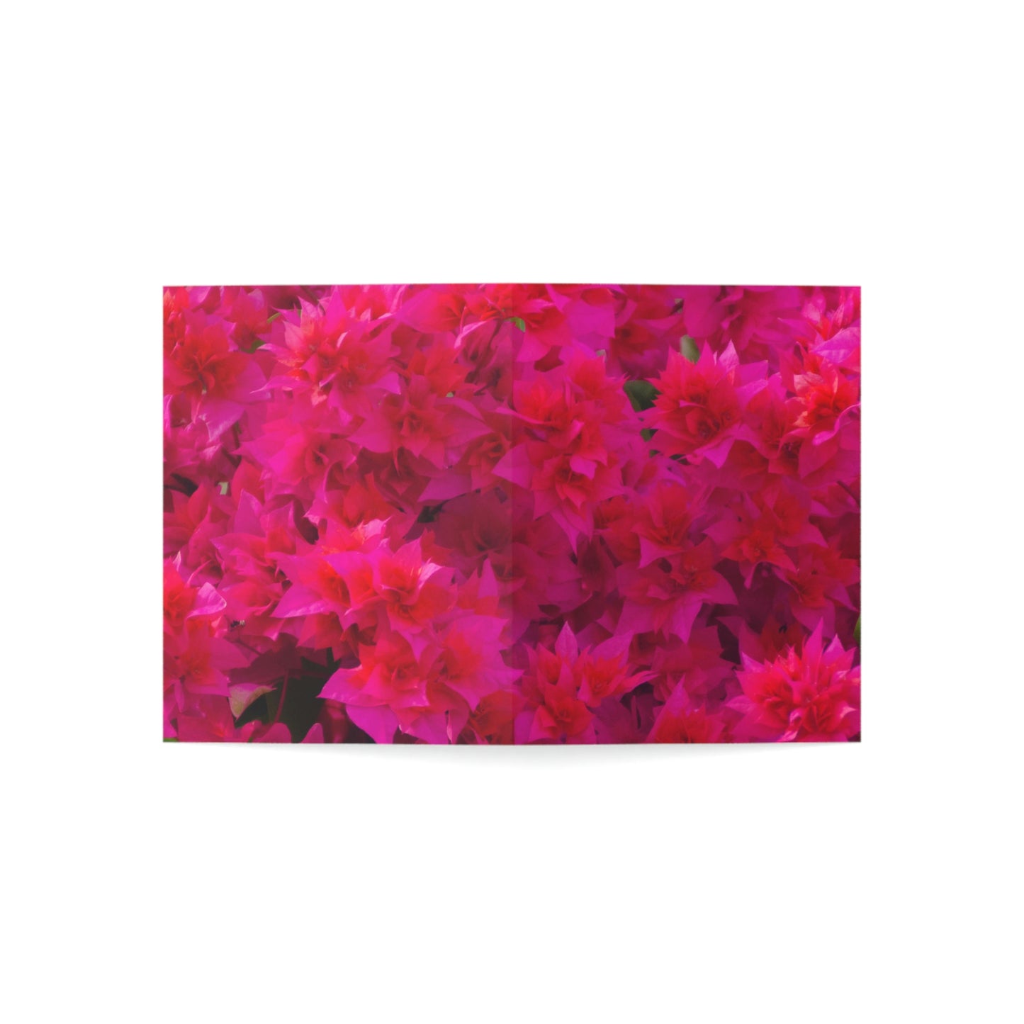 Flowers 27 Greeting Cards (1, 10, 30, and 50pcs)