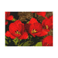 Flowers 05 Greeting Card Bundles (envelopes not included)