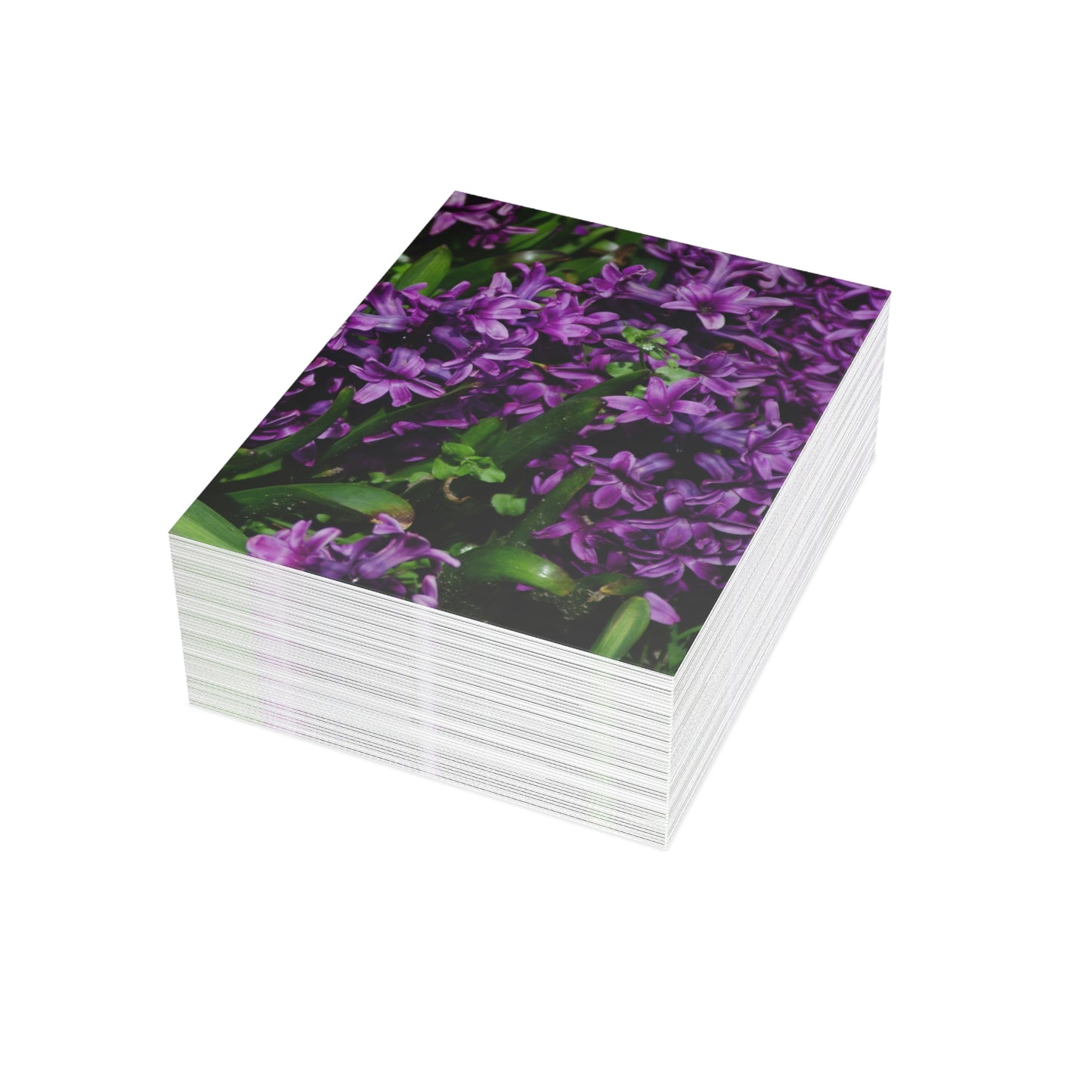 Flowers 21 Greeting Cards (1, 10, 30, and 50pcs)