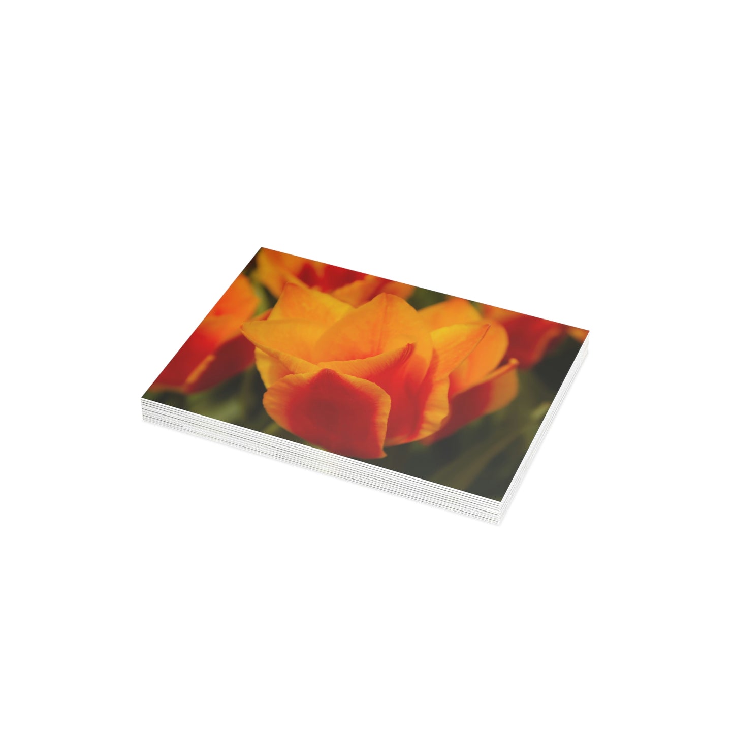 Flowers 13 Greeting Card Bundles (envelopes not included)