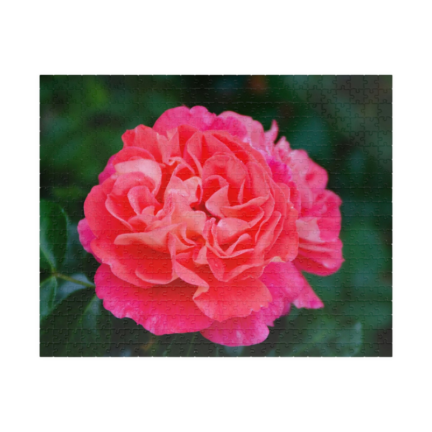 Flowers 08 Puzzle (110, 252, 500, 1014-piece)