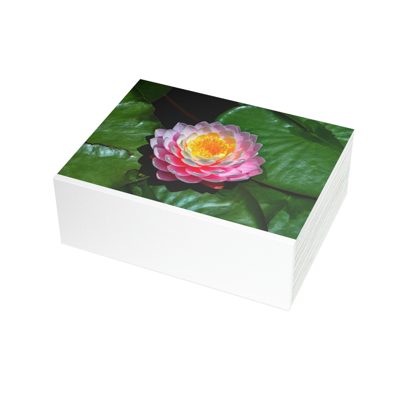 Flowers 25 Greeting Card Bundles (envelopes not included)