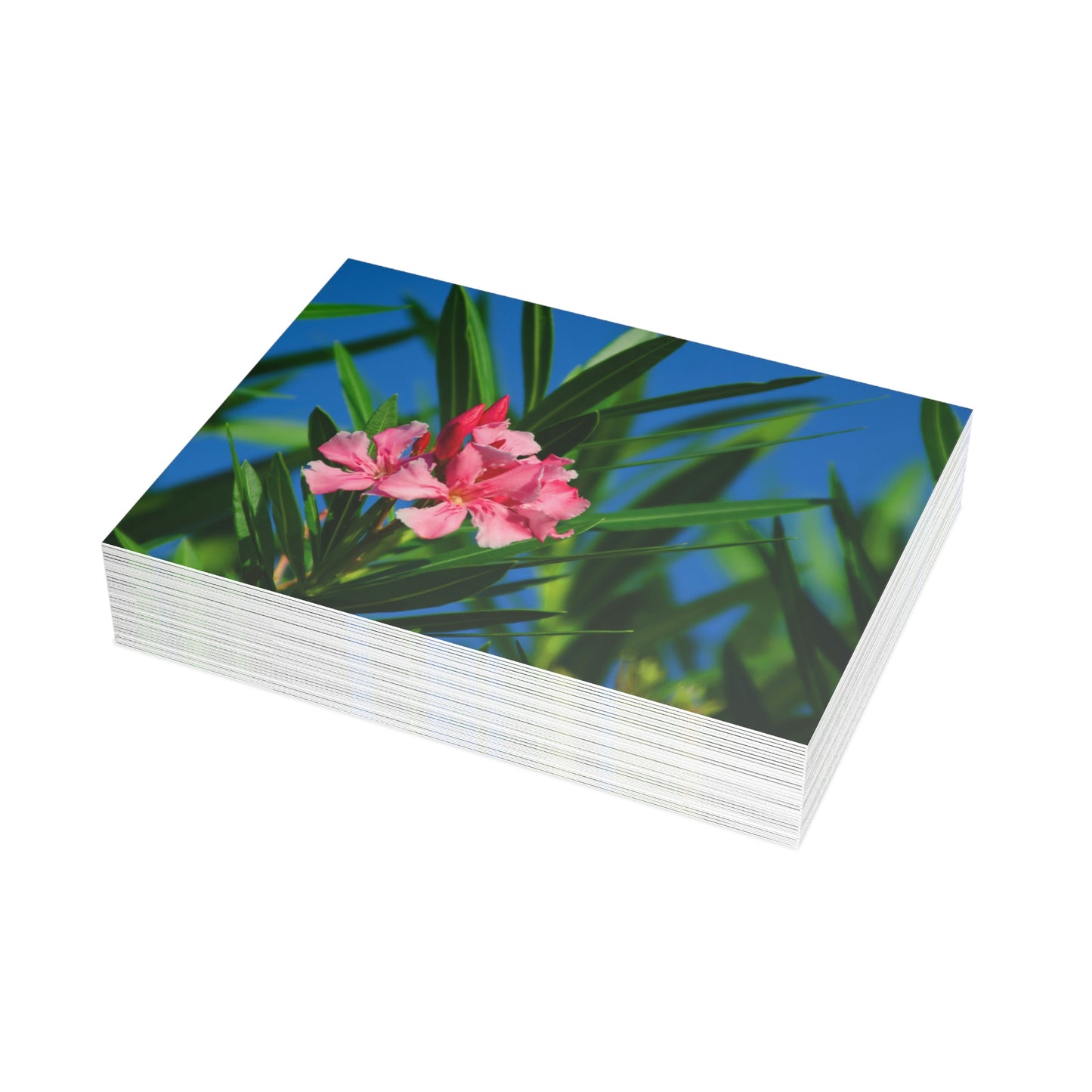 Flowers 30 Greeting Card Bundles (envelopes not included)