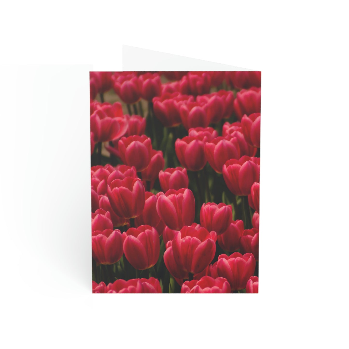 Flowers 16 Greeting Cards (1, 10, 30, and 50pcs)