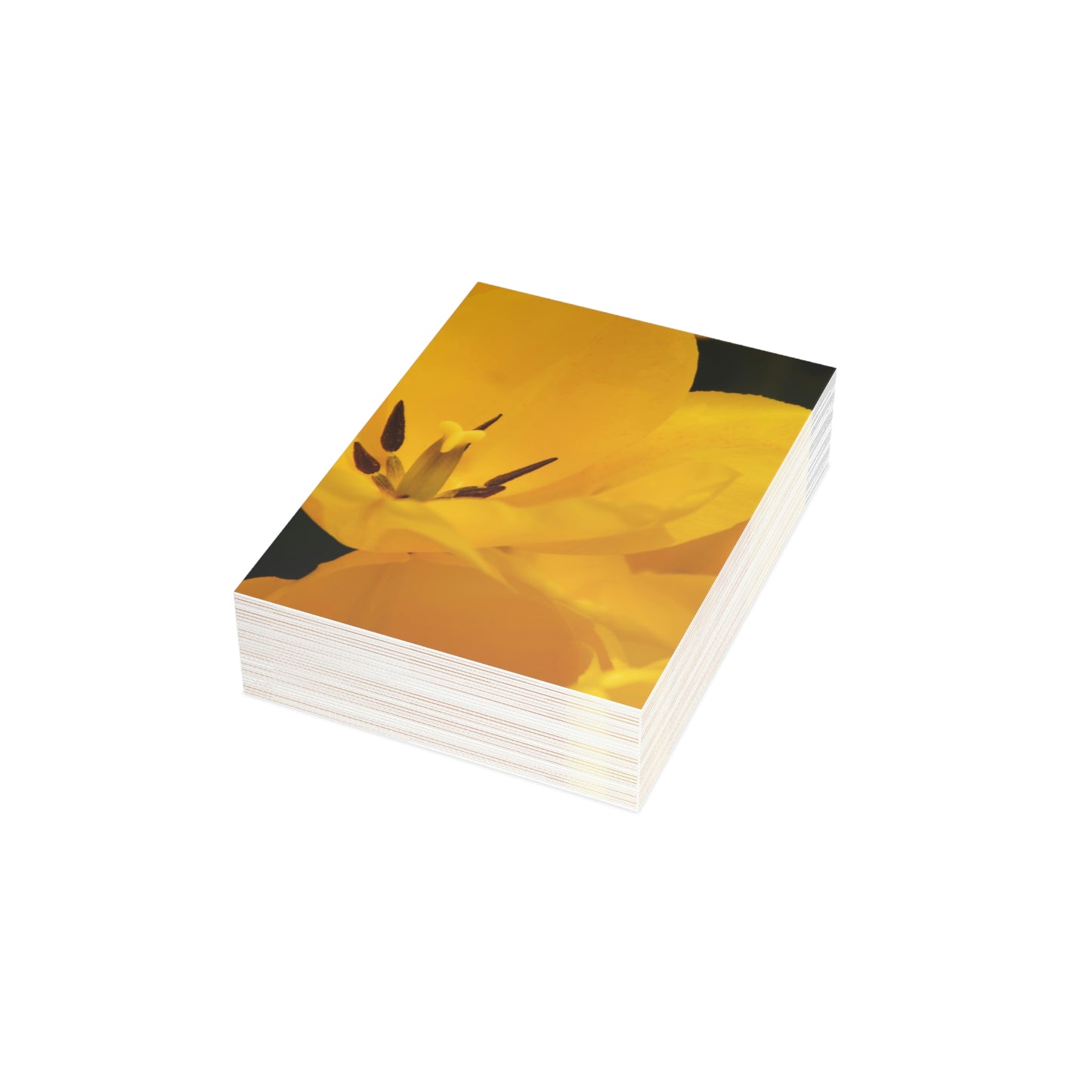 Flowers 14 Greeting Cards (1, 10, 30, and 50pcs)