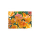 Flowers 29 Greeting Card Bundles (envelopes not included)