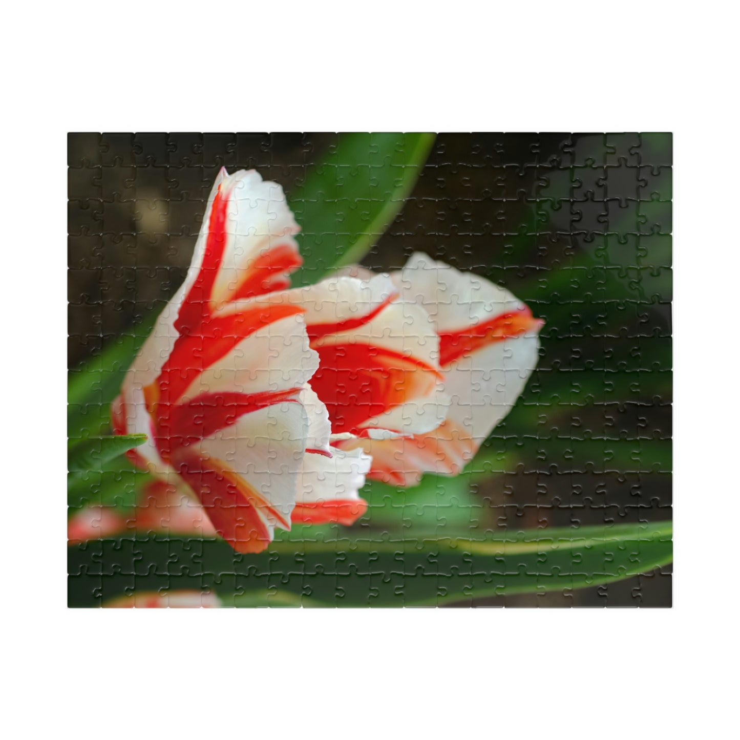 Flowers 06 Puzzle (110, 252, 500, 1014-piece)