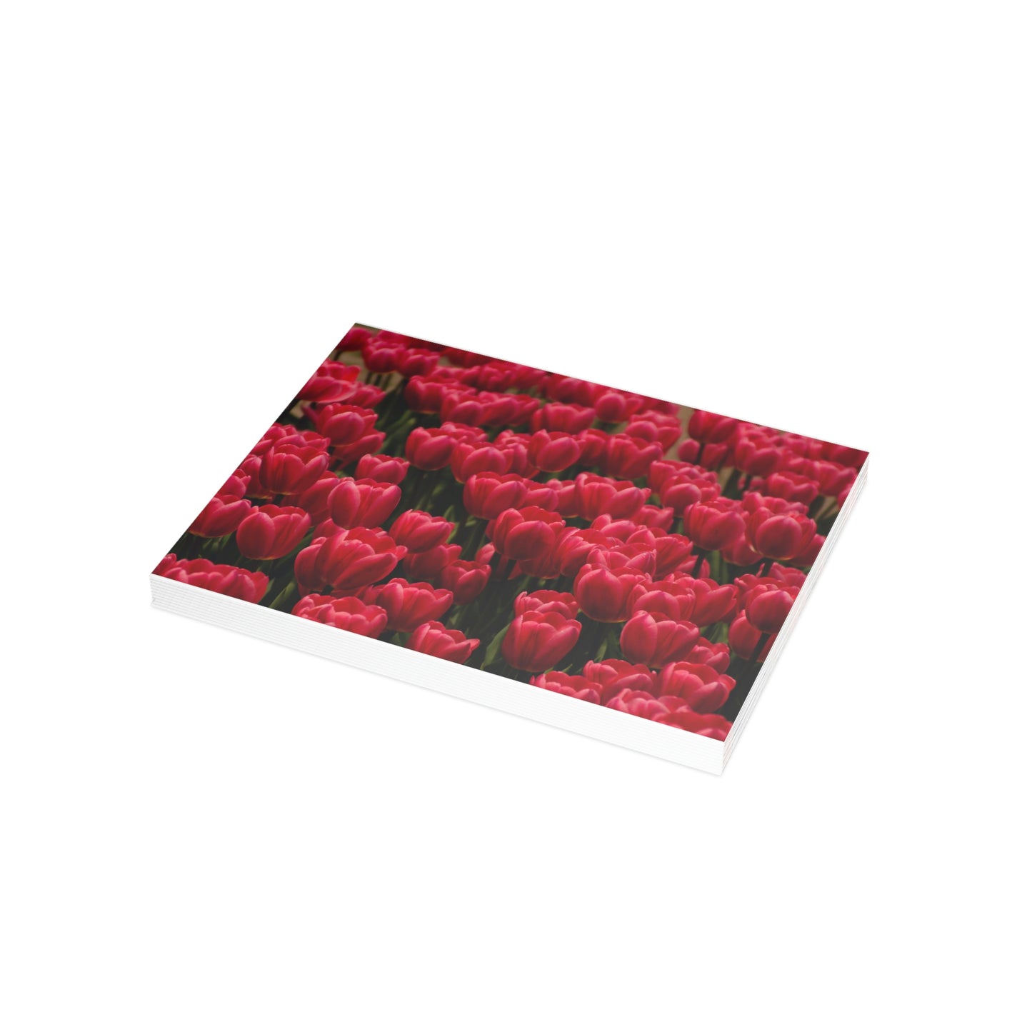 Flowers 15 Greeting Card Bundles (envelopes not included)