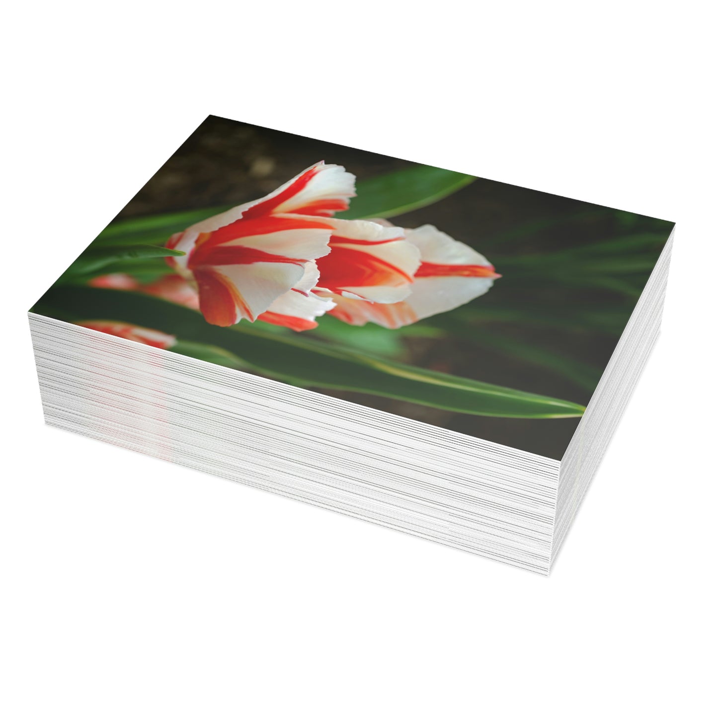 Flowers 04 Greeting Card Bundles (envelopes not included)