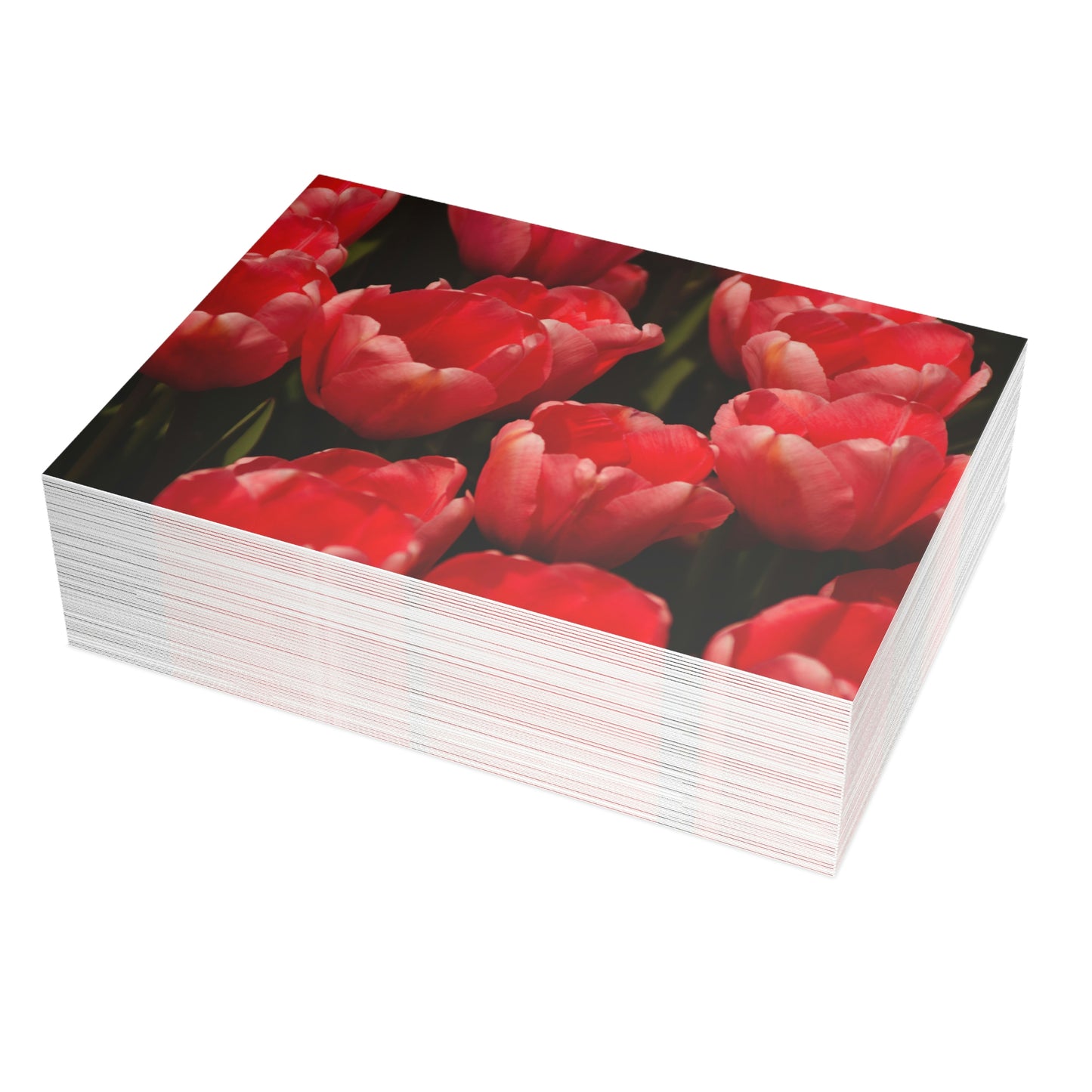 Flowers 09 Greeting Card Bundles (envelopes not included)