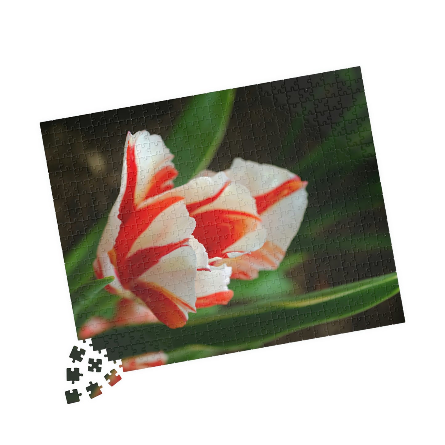 Flowers 06 Puzzle (110, 252, 500, 1014-piece)