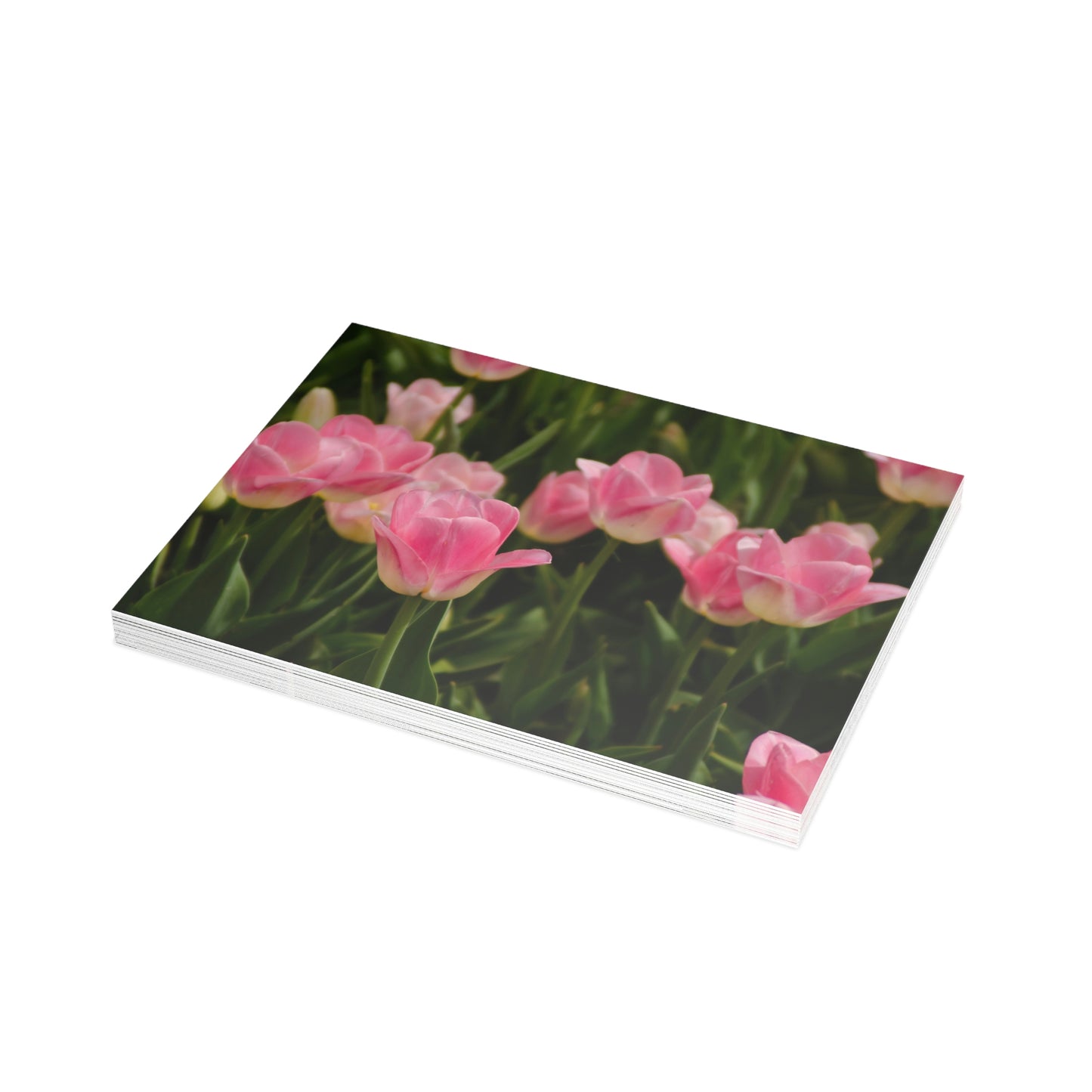 Flowers 17 Greeting Card Bundles (envelopes not included)