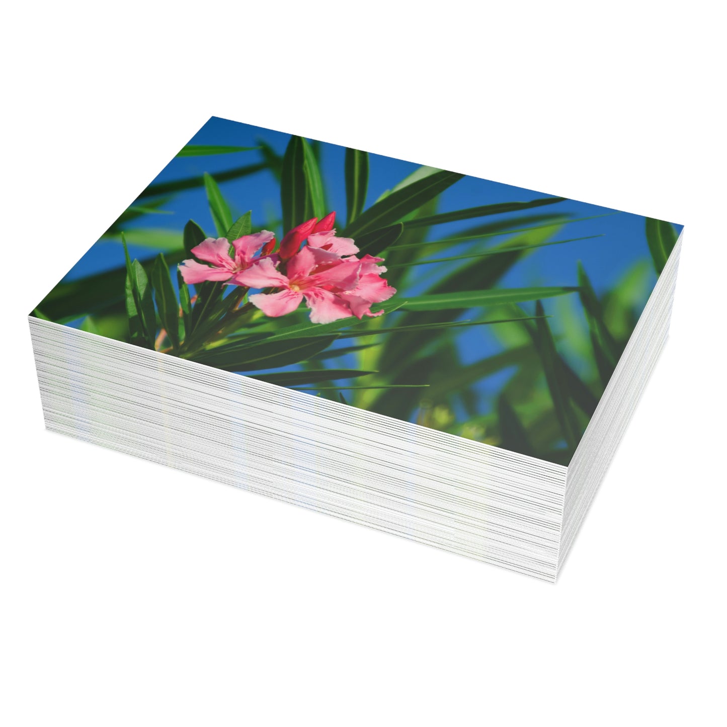 Flowers 30 Greeting Card Bundles (envelopes not included)