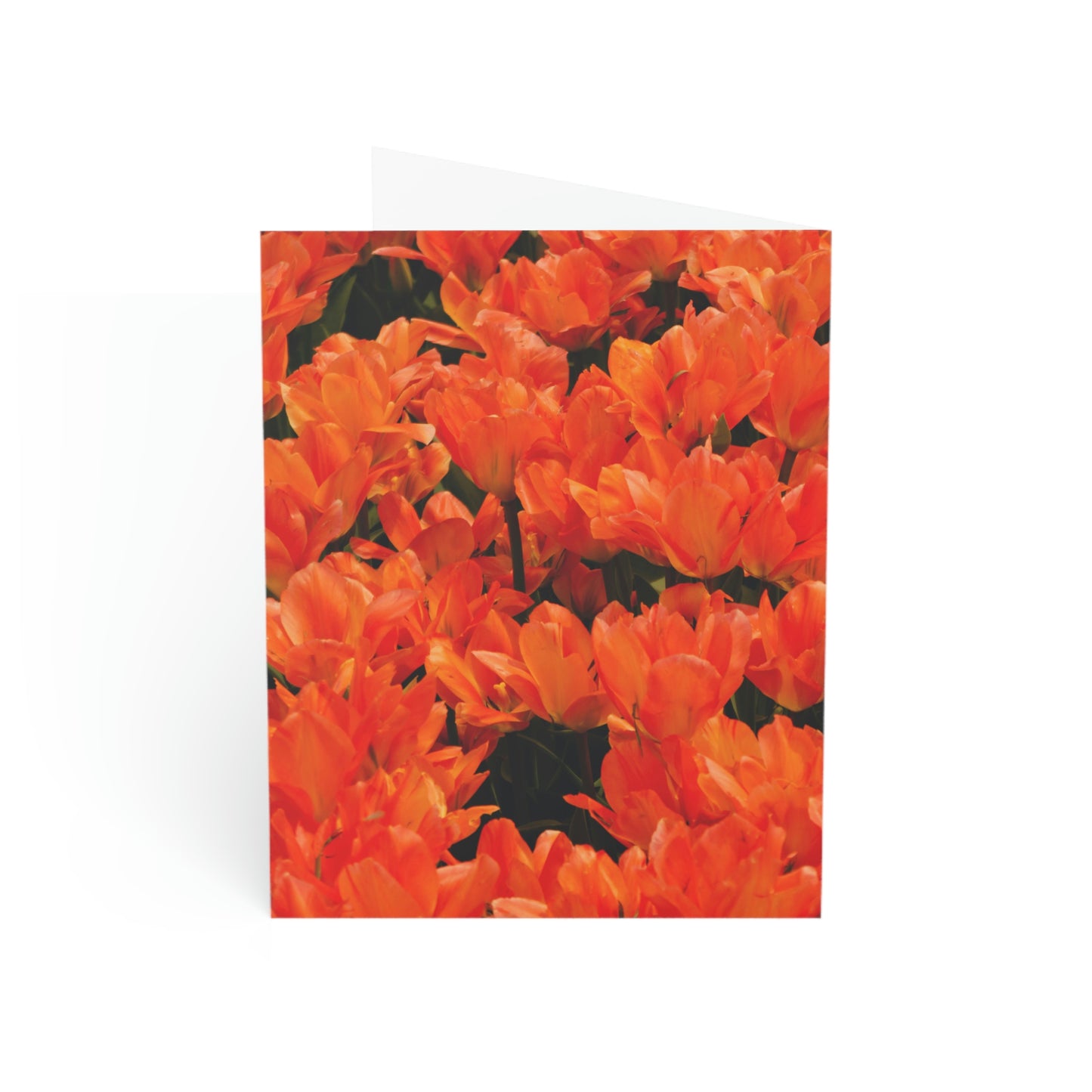 Flowers 03 Greeting Cards (1, 10, 30, and 50pcs)