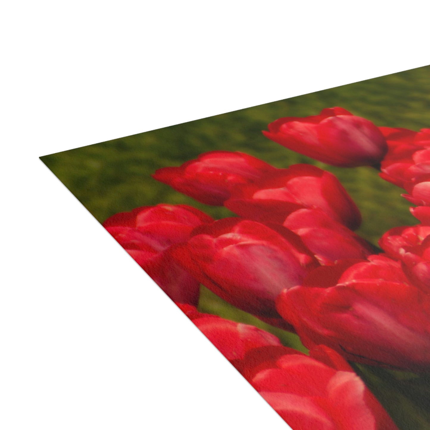 Flowers 22 Greeting Cards (1, 10, 30, and 50pcs)