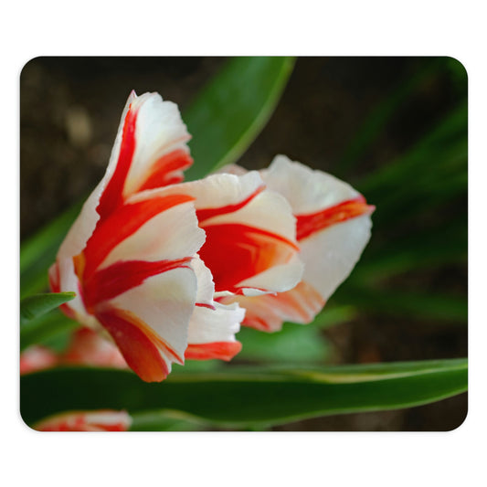 Flowers 06 Rectangle Mouse Pad