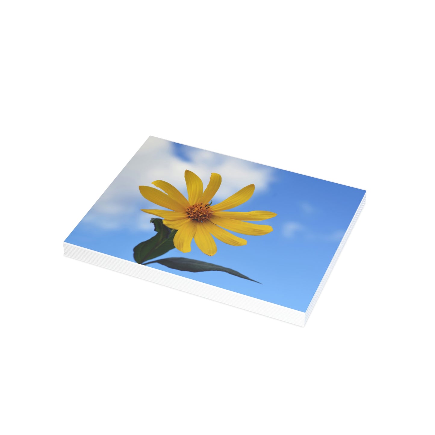 Flowers 32 Greeting Card Bundles (envelopes not included)