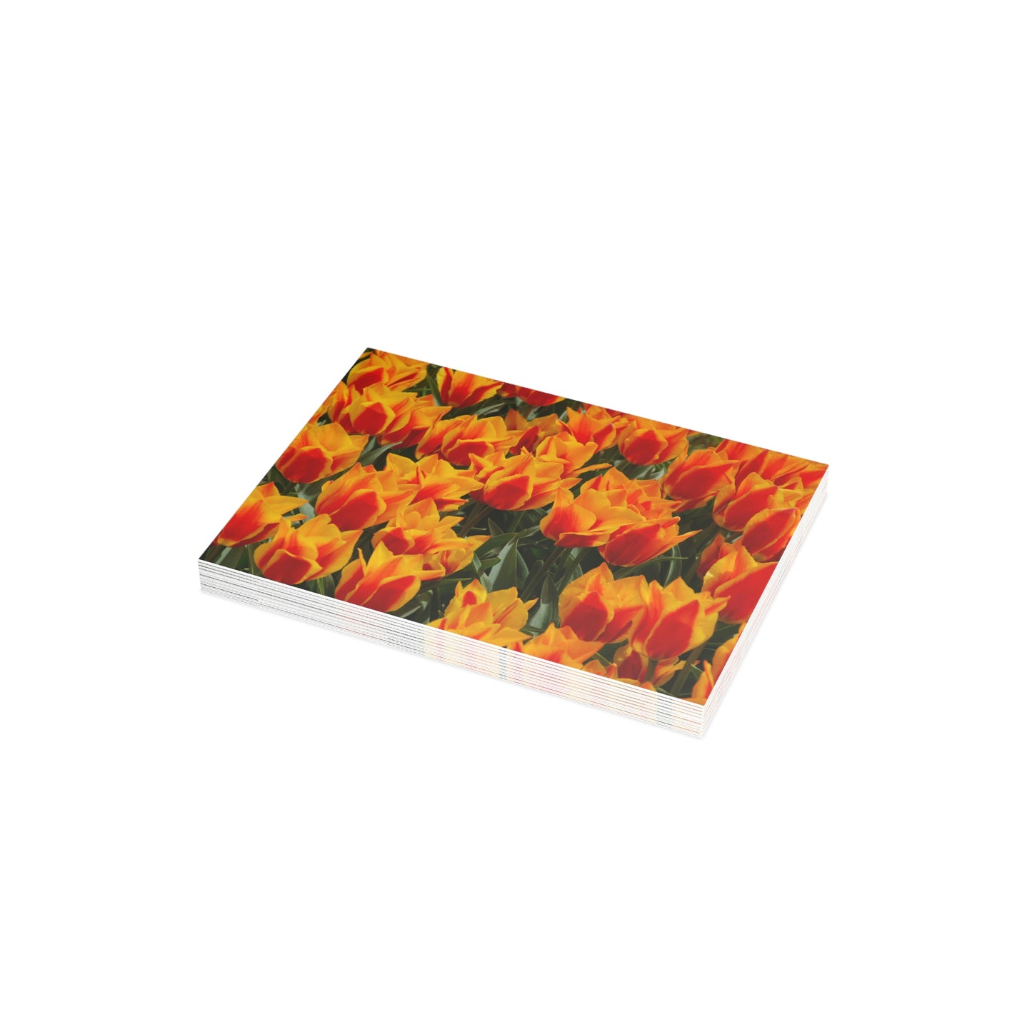 Flowers 19 Greeting Card Bundles (envelopes not included)