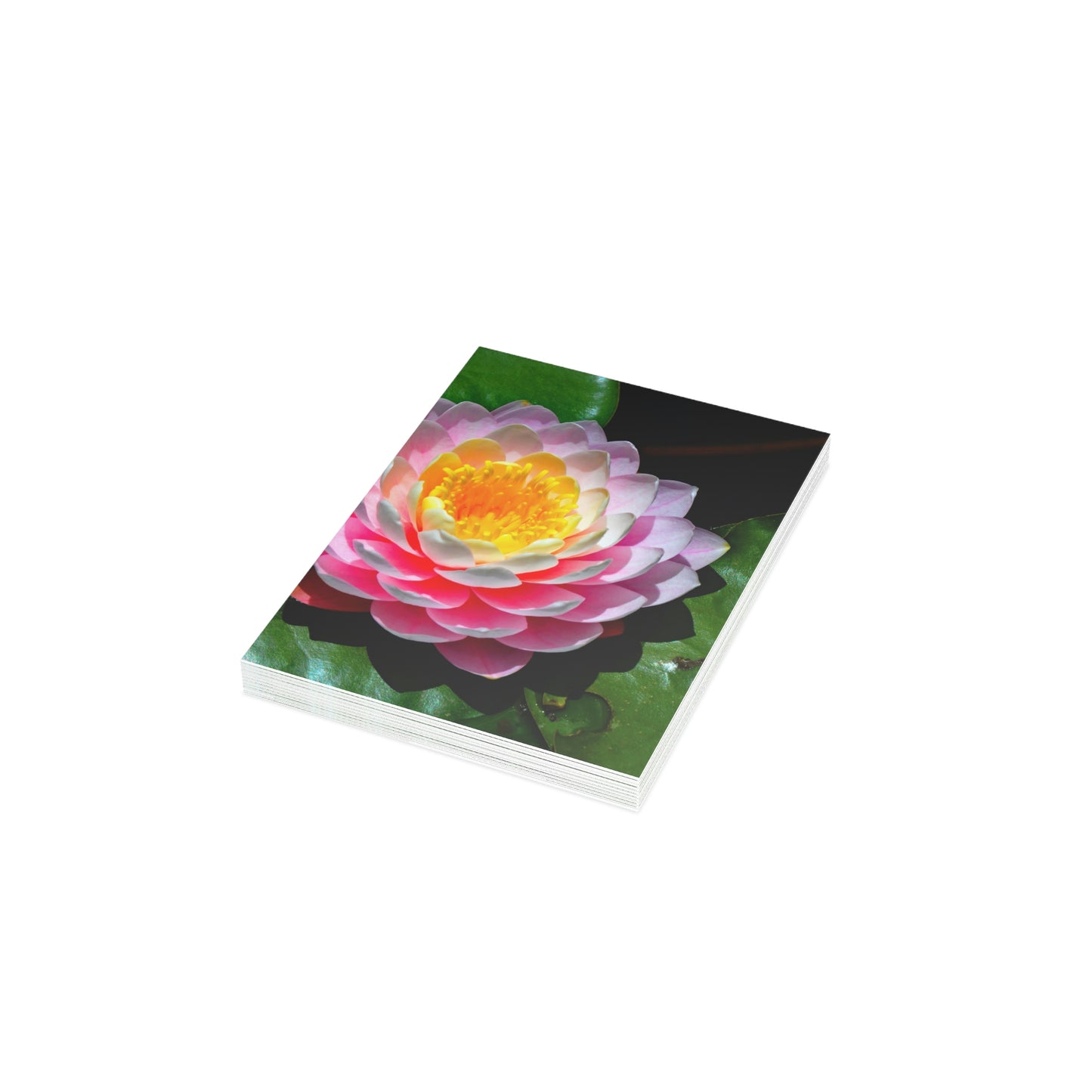 Flowers 25 Greeting Cards (1, 10, 30, and 50pcs)