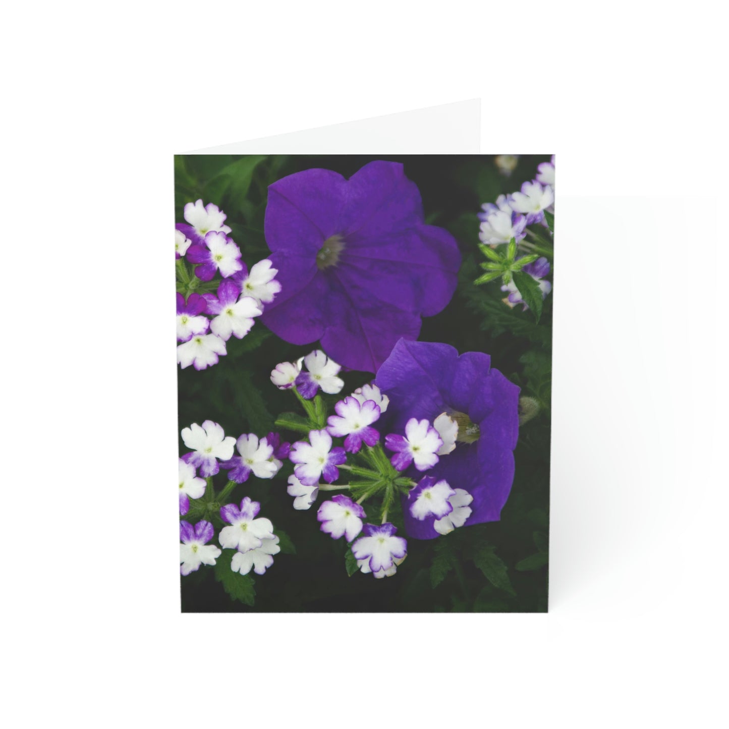 Flowers 04 Greeting Cards (1, 10, 30, and 50pcs)