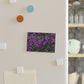 Flowers 21 Button Magnet, Rectangle (1 & 10 pcs)
