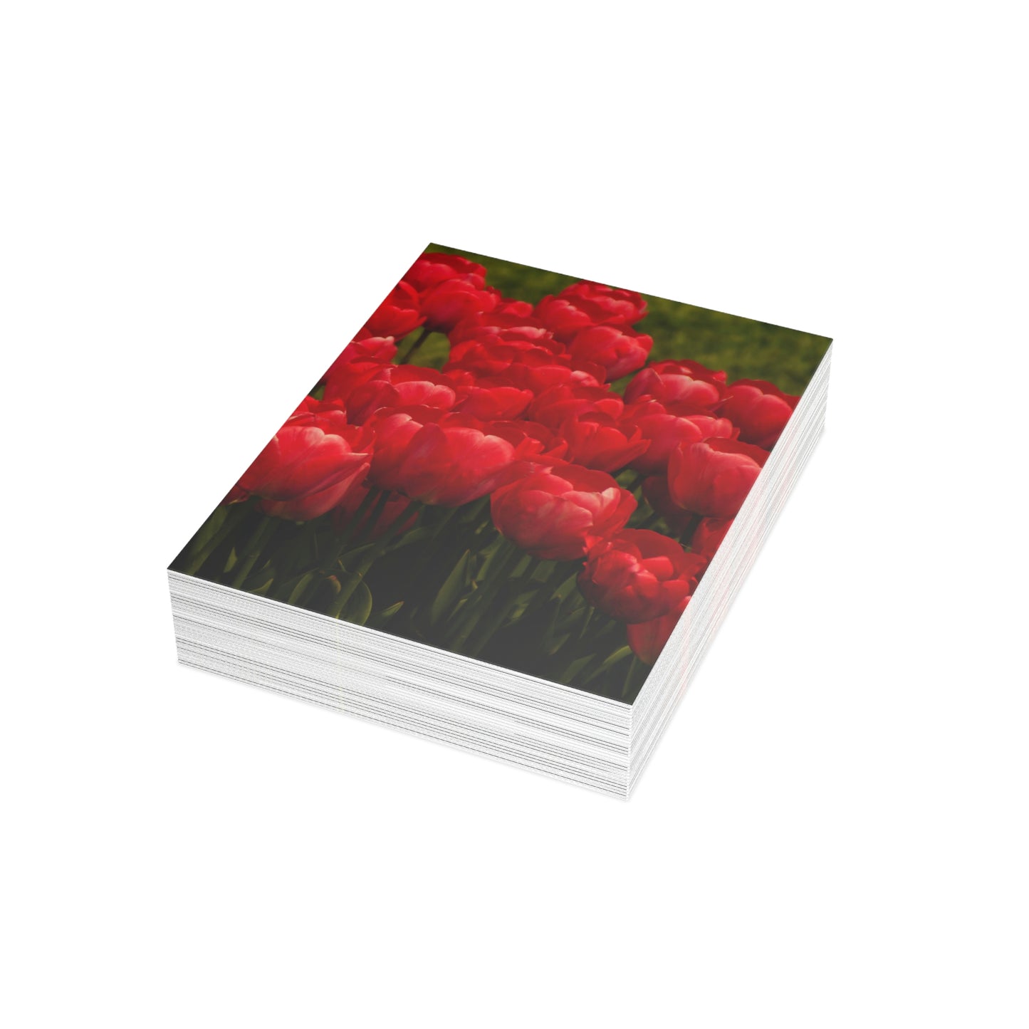 Flowers 22 Greeting Cards (1, 10, 30, and 50pcs)