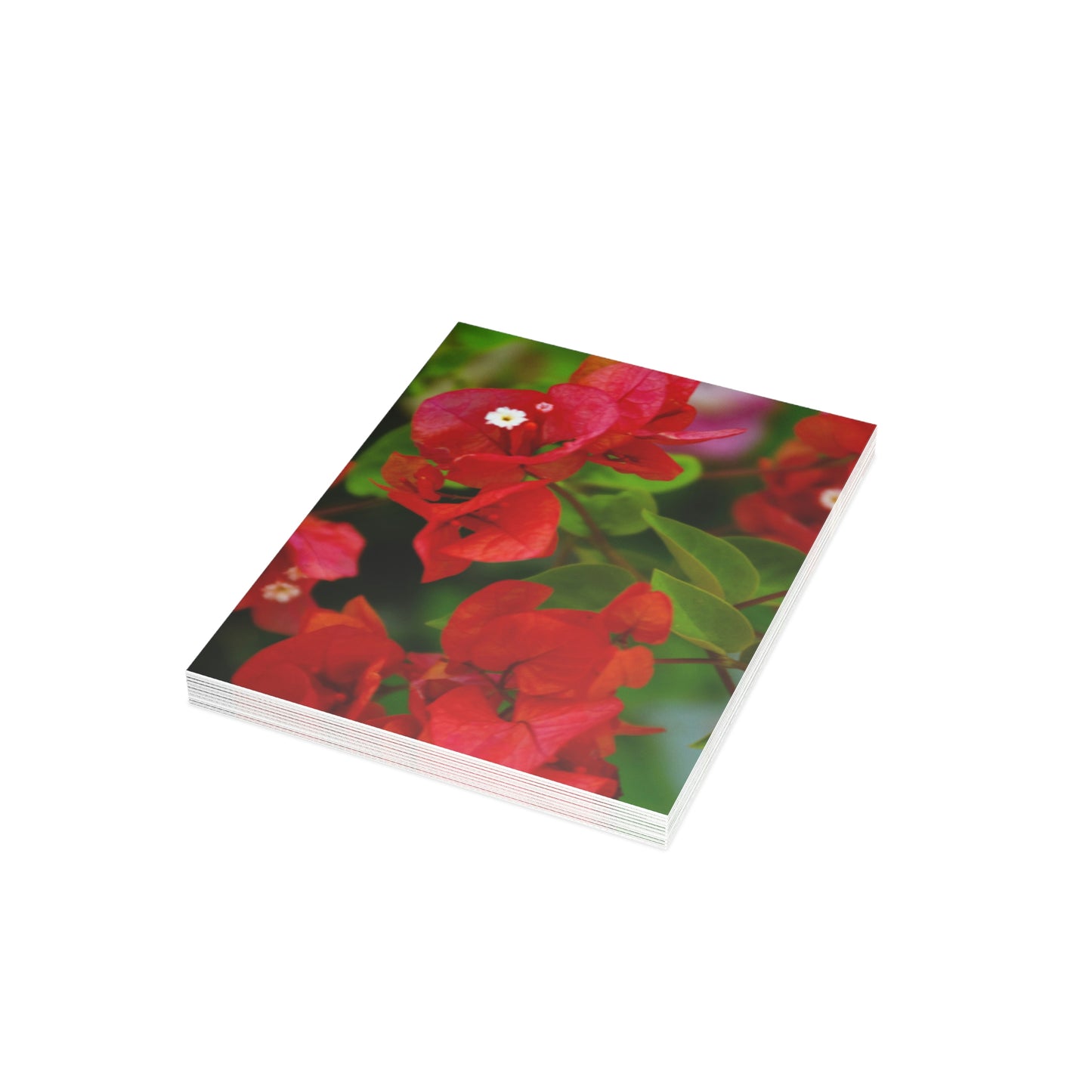 Flowers 27 Greeting Card Bundles (envelopes not included)