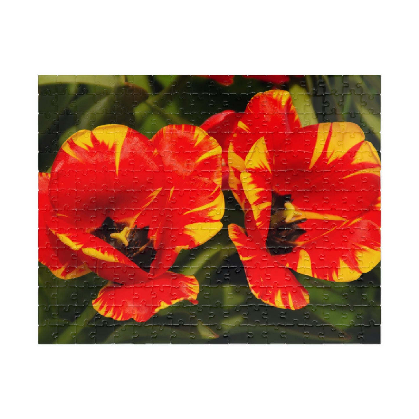 Flowers 12 Puzzle (110, 252, 500, 1014-piece)