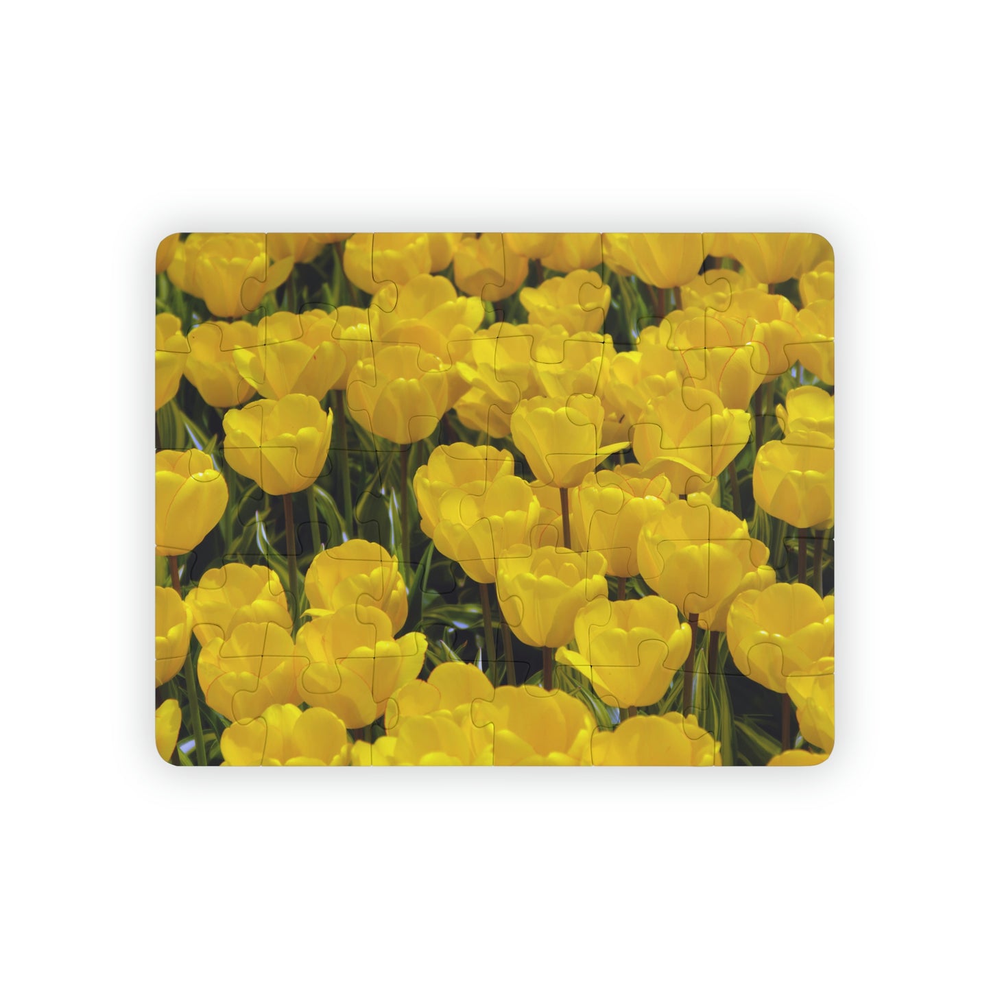 Flowers 23 Kids' Puzzle, 30-Piece