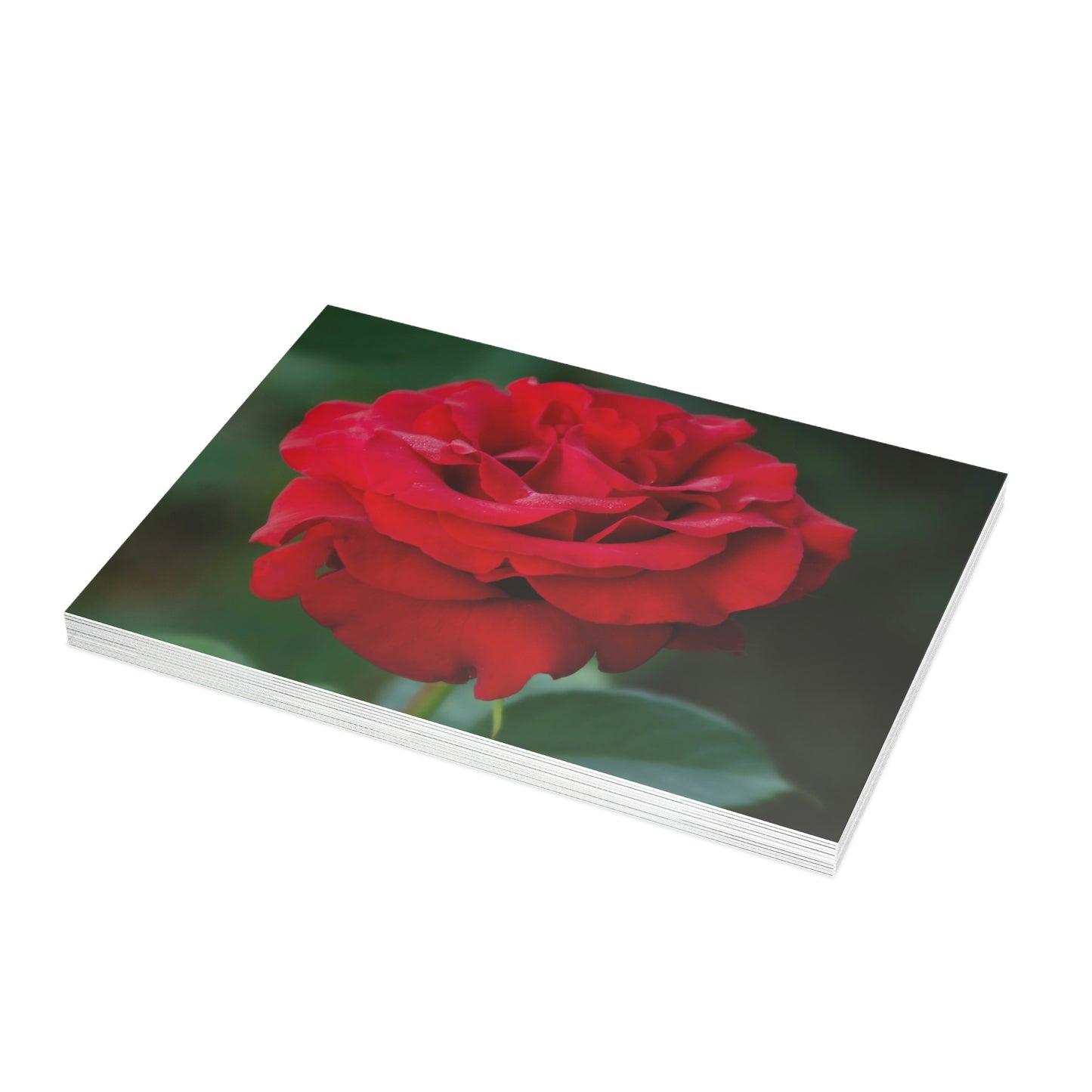 Flowers 14 Greeting Card Bundles (envelopes not included)