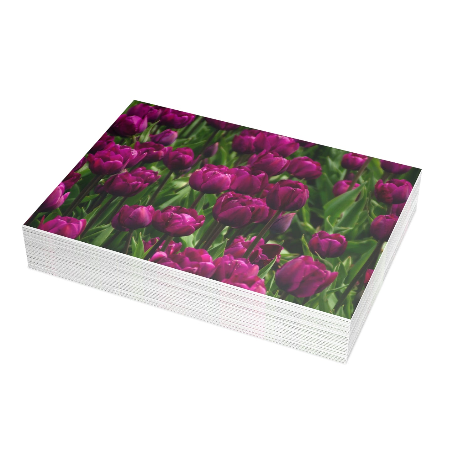 Flowers 18 Greeting Card Bundles (envelopes not included)