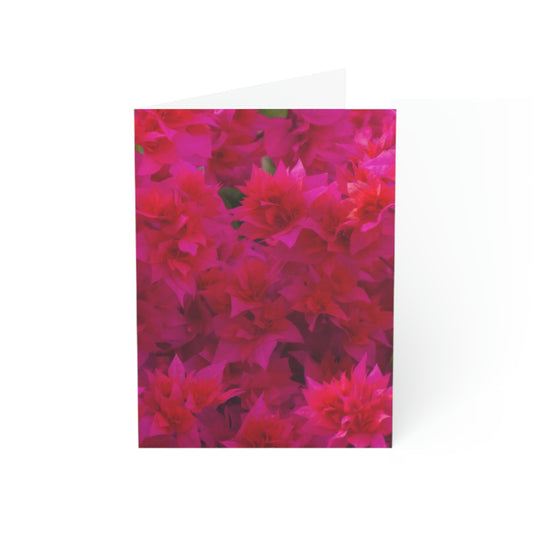 Flowers 27 Greeting Cards (1, 10, 30, and 50pcs)