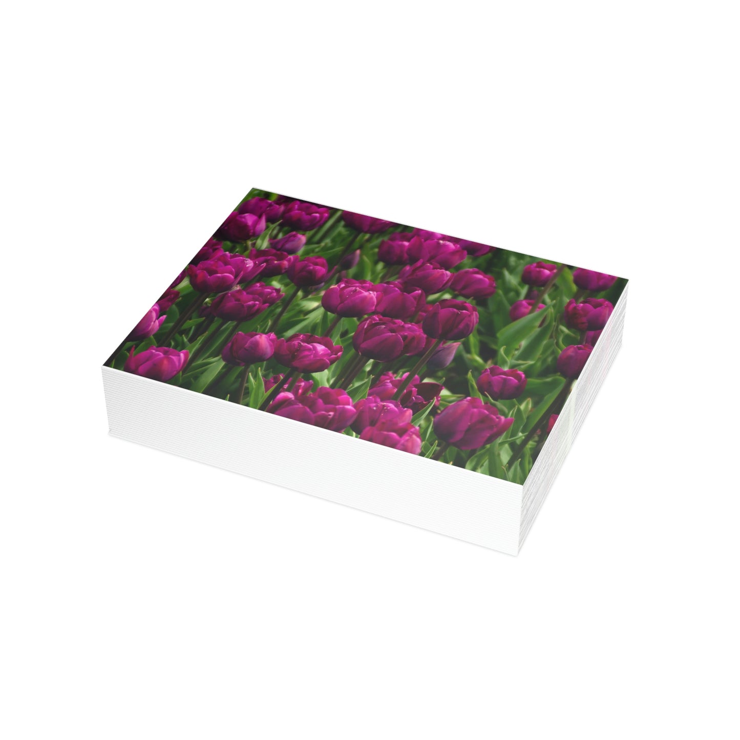 Flowers 18 Greeting Card Bundles (envelopes not included)